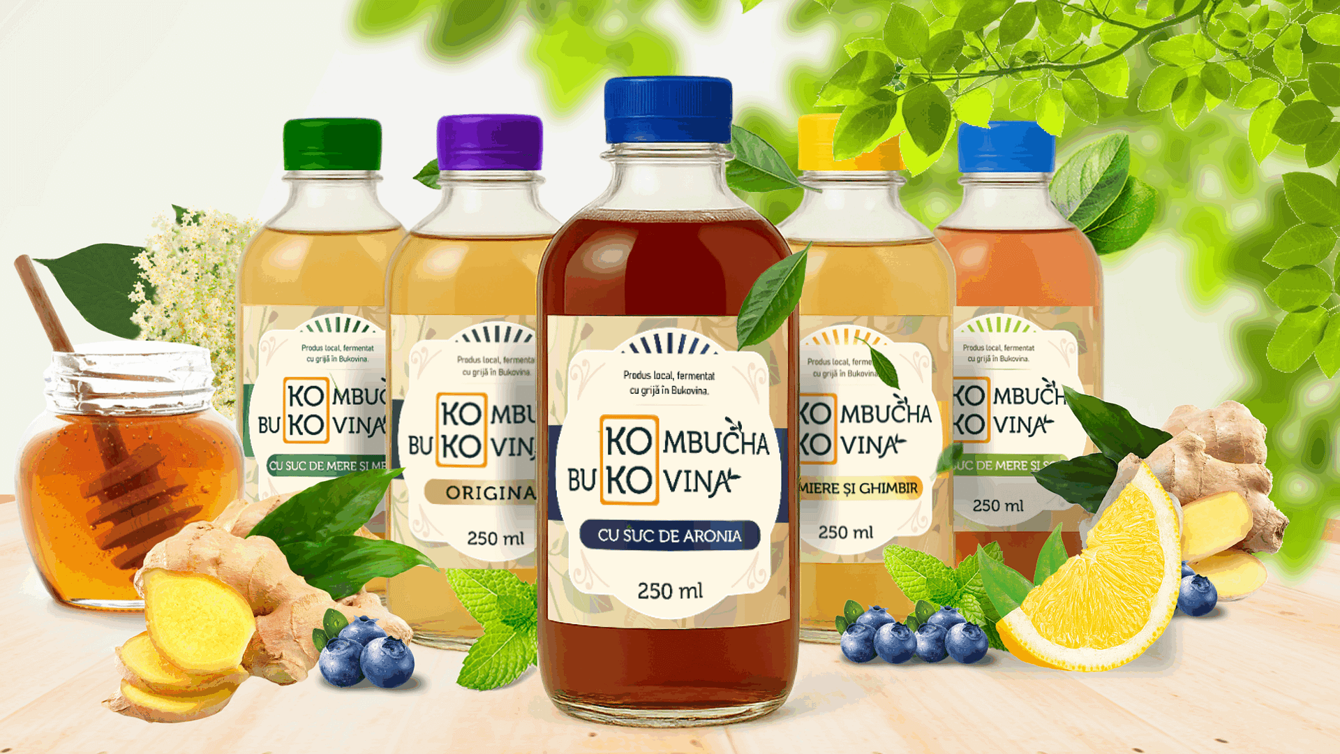 Kombucha Bukovina – Băutură probiotică artizanală din Bucovina, fermentată natural
