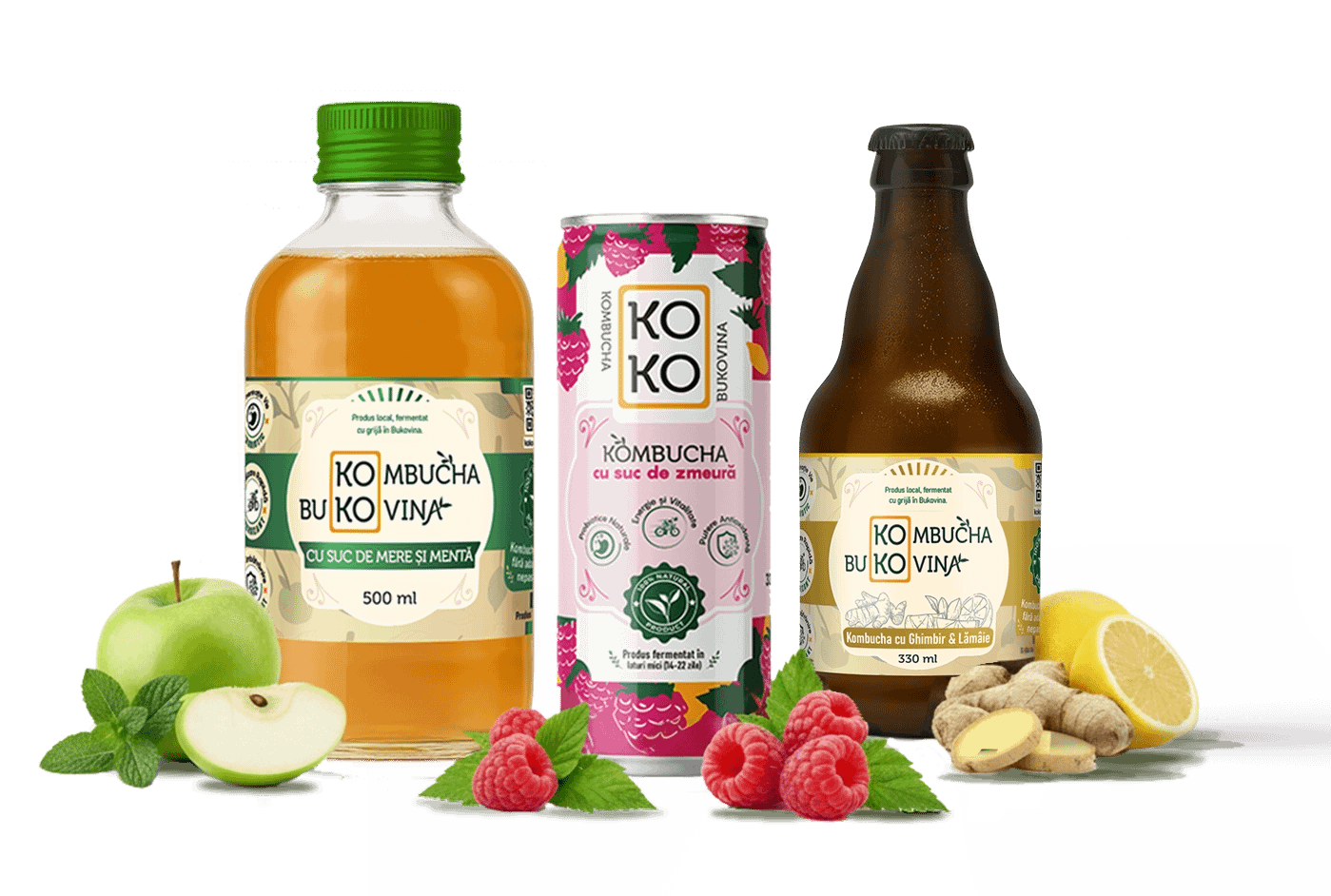 Băutură fermentată natural, Kombucha